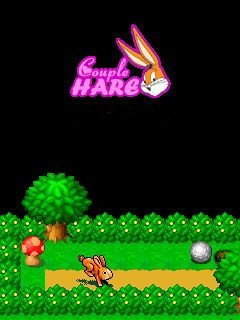 game pic for Couple hare